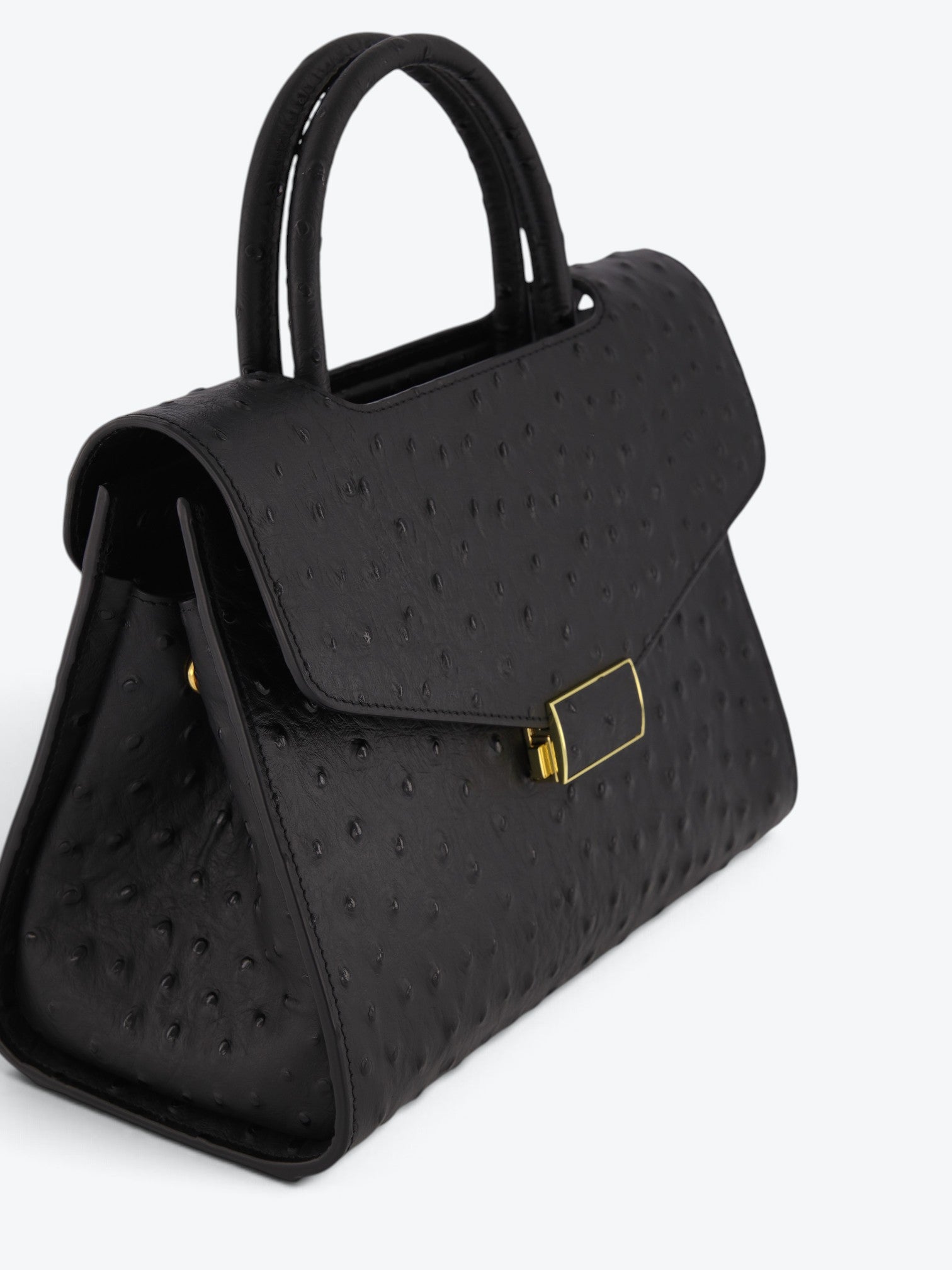 Chanté 25 Ostrich Black Cu Interior Turquoise - Ediție Limitată