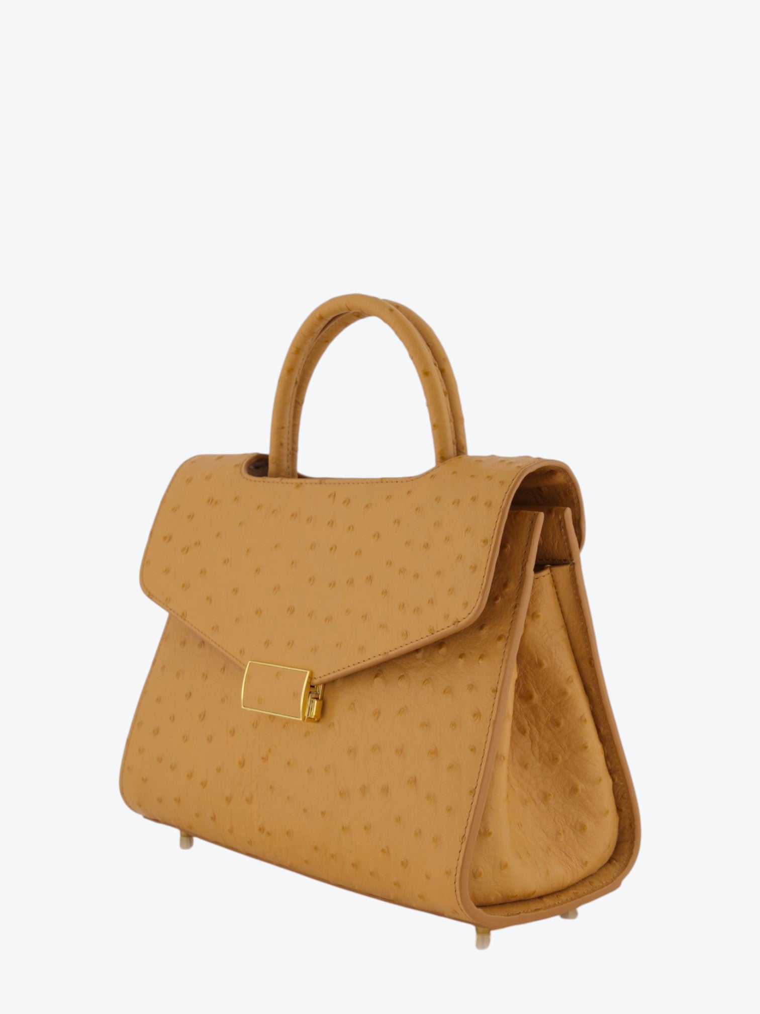 Chanté 25 Ostrich Camel