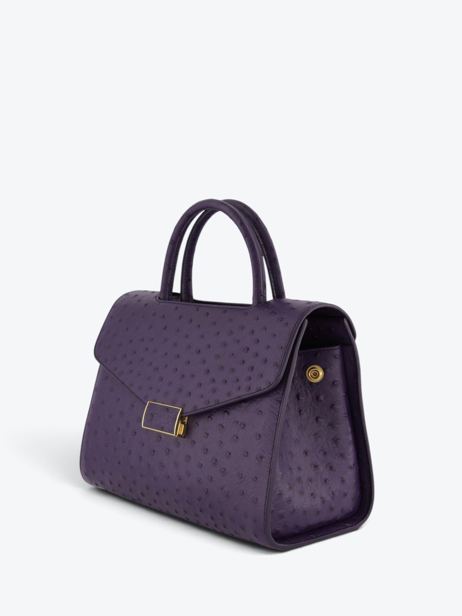 Chanté 25 Ostrich Melanzana
