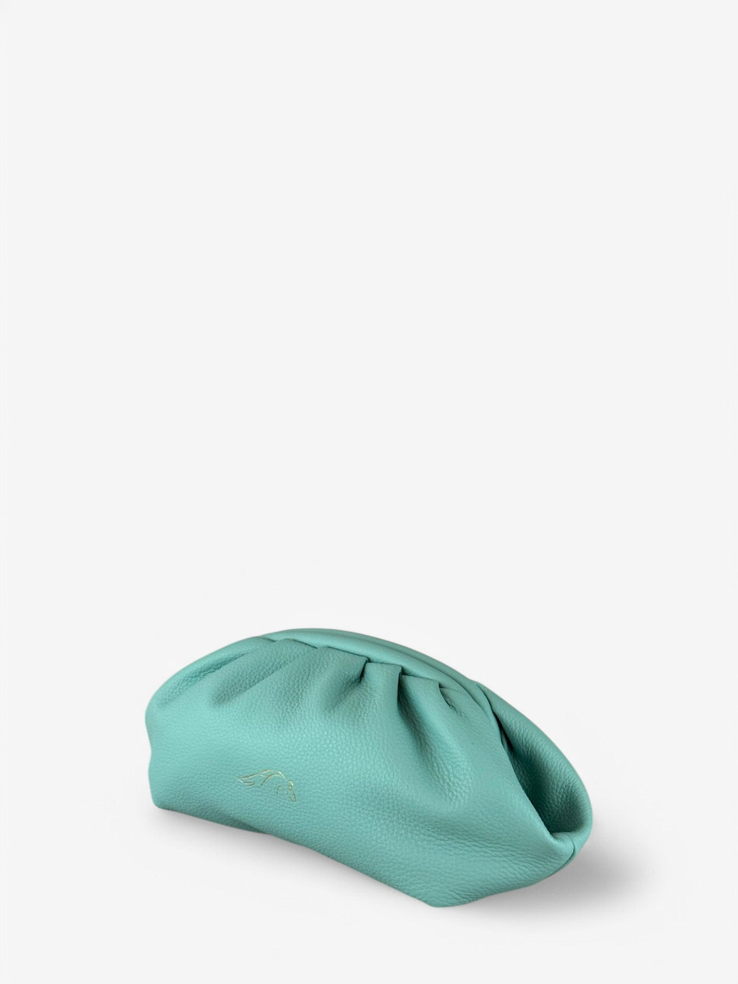 Eva Aqua Small Clutch