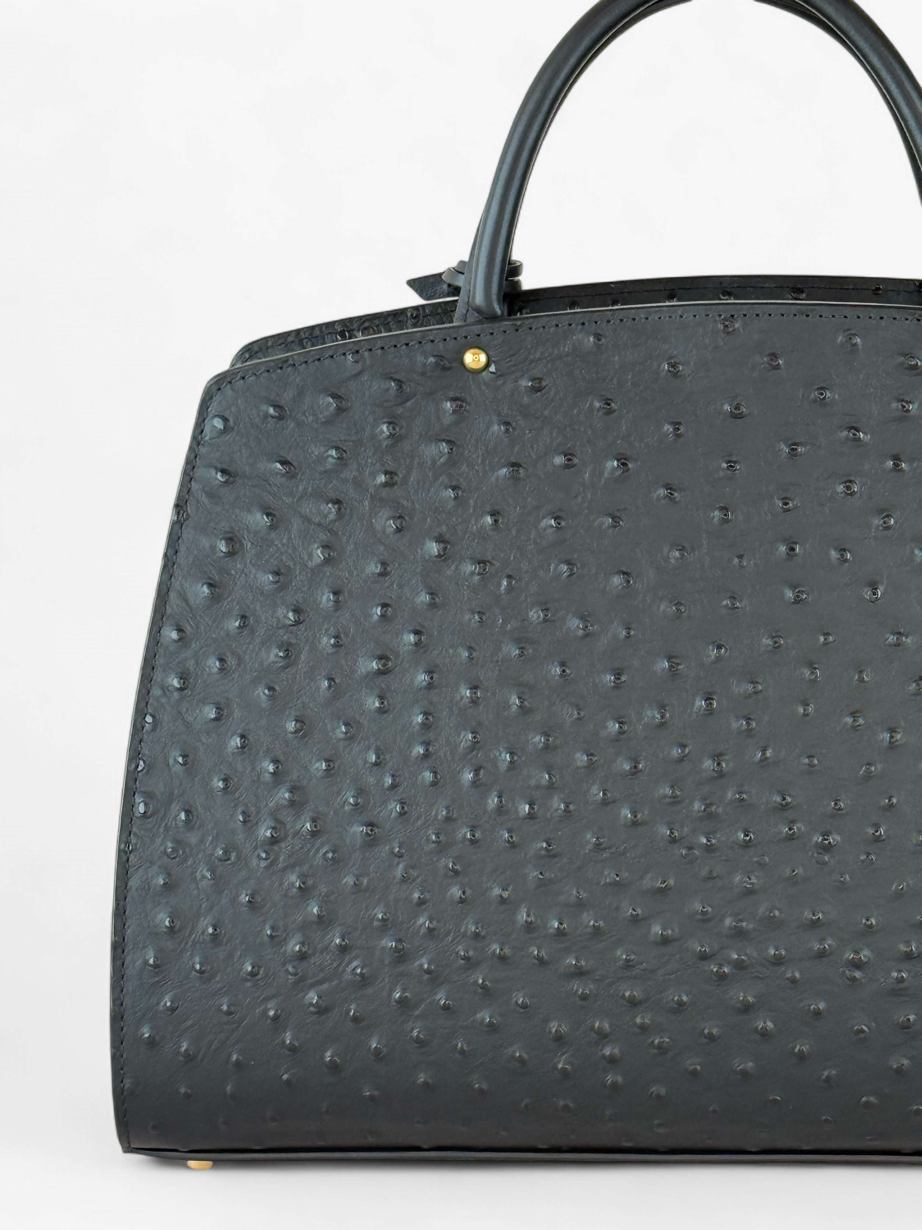 Geantă Ami M Ostrich Black